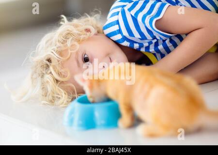 Child holding baby cat. Kids and pets. Little boy feeding cute little kitten at home. Domestic animal in family with kids. Children with pet animals. Stock Photo