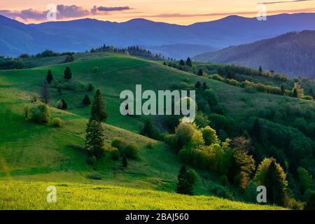 mountainous countryside in springtime at dusk. trees on the rolling hills. ridge in the distance. clouds on the sky. stunning rural landscape of carpa Stock Photo