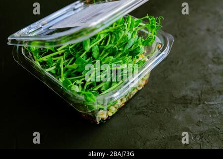 Peas microgreen in plastic container. Microgreen vegetable  sprouts germinated from organic plants seeds. Stock Photo