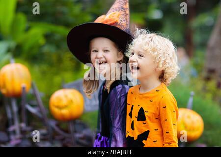 Child in Halloween costume. Kids trick or treat. Little boy and girl dressed as witch with hat holding pumpkin lantern and candy bucket. Family celebr Stock Photo