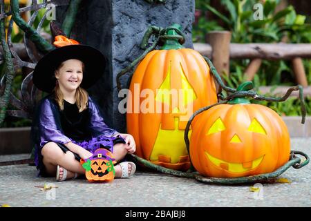 Child in Halloween costume. Kids trick or treat. Little girl dressed as witch with hat holding pumpkin lantern and candy bucket. Family celebration. Stock Photo