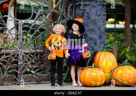 Child in Halloween costume. Kids trick or treat. Little boy and girl dressed as witch with hat holding pumpkin lantern and candy bucket. Family celebr Stock Photo