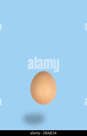 Flying brown egg with light blue background, easter minimal concept with empty space for text Stock Photo