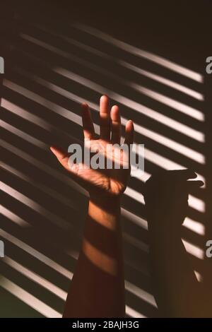 Hand under shadow from the windows. Stock Photo