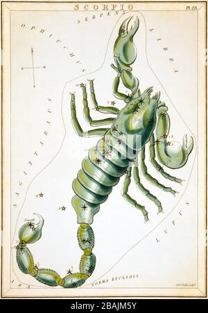Scorpio, celestial card, part of the set Urania’s Mirror, A View of the Heavens, engraved by Sidney Hall, First published in 1824 Stock Photo