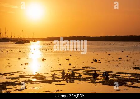 Asia, Indonesia, Bali, Sanur beach. People foraging for shellfish Stock Photo