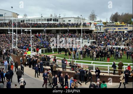 Crowds gather at Cheltenham Racecourse for the 2020 Festival of racing, one of the last big public gatherings under the cloud of coronavirus covid-19 Stock Photo