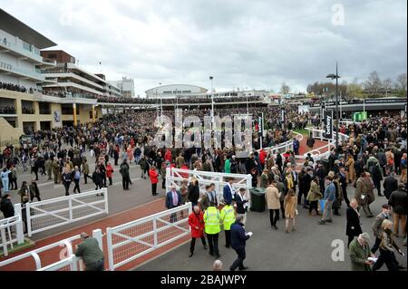 Crowds gather at Cheltenham Racecourse for the 2020 Festival of racing, one of the last big public gatherings under the cloud of coronavirus covid-19 Stock Photo