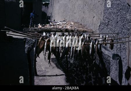 Smoked and dried freshwater fishes in Lake Chad Stock Photo