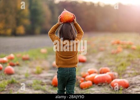 Cute little boy having fun in a pumpkin patch Stock Photo