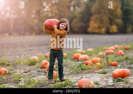 Cute little boy having fun in a pumpkin patch Stock Photo