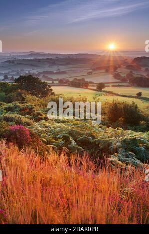 View from Pilsdon Pen looking towards Broadwindsor in early autumn Marshwood, Dorset, England Stock Photo