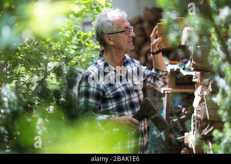 Mature man working in the garden Stock Photo