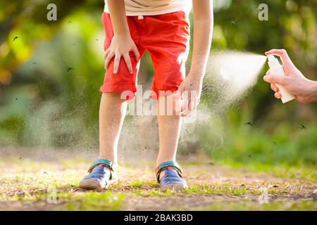 Mosquito on kids skin. Little boy attacked by mosquitoes in tropical forest. Insect repellent. Malaria and dengue fever prevention. Child scratching i Stock Photo