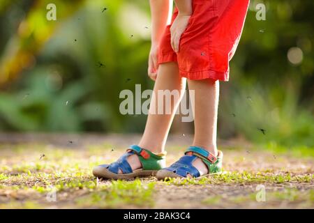 Mosquito on kids skin. Little boy attacked by mosquitoes in tropical forest. Insect repellent. Malaria and dengue fever prevention. Child scratching i Stock Photo