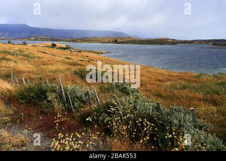 View over the village of Puerto Prat near Puerto Natales city, Patagonia, Chile, South America Stock Photo