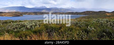 View over the village of Puerto Prat near Puerto Natales city, Patagonia, Chile, South America Stock Photo