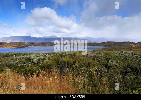 View over the village of Puerto Prat near Puerto Natales city, Patagonia, Chile, South America Stock Photo