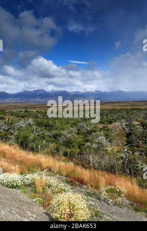 View over the village of Puerto Prat near Puerto Natales city, Patagonia, Chile, South America Stock Photo