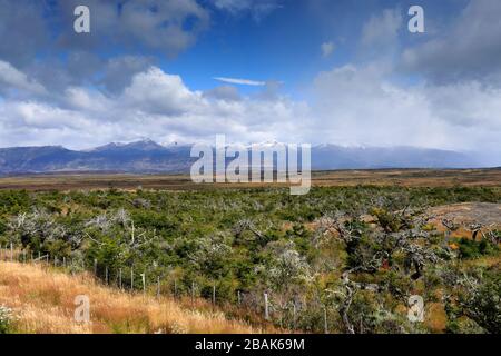 View over the village of Puerto Prat near Puerto Natales city, Patagonia, Chile, South America Stock Photo