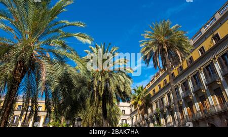 Plaça  Reial in Barcelona. Stock Photo