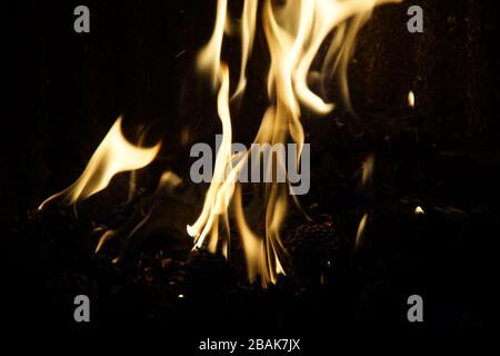 Flames in the barbecue. They have a yellow color Stock Photo