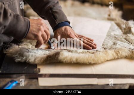 Man is sewing a traditional Hungarian buso fur coat from sheepskin Stock Photo
