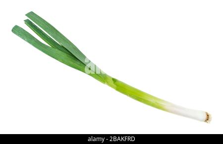 fresh green young garlic cutout on white background Stock Photo