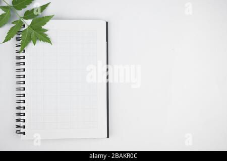Top view of come green leaves on top of a open white paper diary before a bright white background Stock Photo