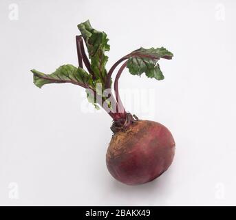 Fresh beetroot with leaves isolated on white background Stock Photo