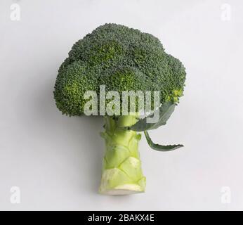Fresh broccoli isolated on white background Stock Photo