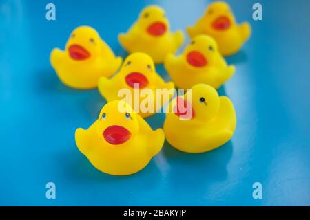Close up of yellow color plastic duck on blue background. Stock Photo
