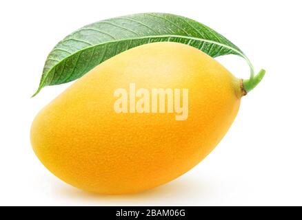 One whole yellow mango fruit isolated on white background Stock Photo