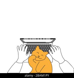 Working from home or remotely: hands typing on laptop and red cat. Digital drawing can be used in greeting cards, posters, flyers, banners, logos, web design, etc. Vector illustration. EPS10 Stock Vector