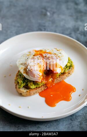 Toast with mashed avocado and poached egg Stock Photo