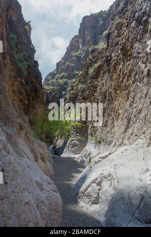 View from trail side, Big Bend National Park, Texas Stock Photo - Alamy