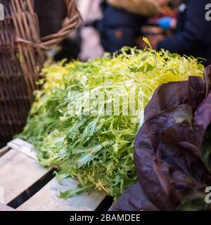 frisee salad with red oak lettuce on the stall at a farmer market Stock Photo