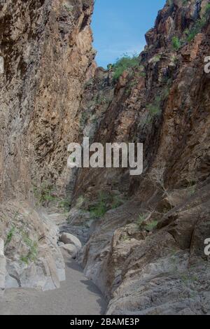 View from trail side, Big Bend National Park, Texas Stock Photo - Alamy