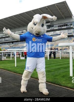 Peterborough United mascot Peter Burrow before the Football League Mascot Race, in support of Prostate Cancer UK. Stock Photo