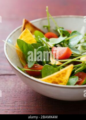 Winter purslane salad with zucchini, tomatoes, onions and toasted tortillas. Stock Photo