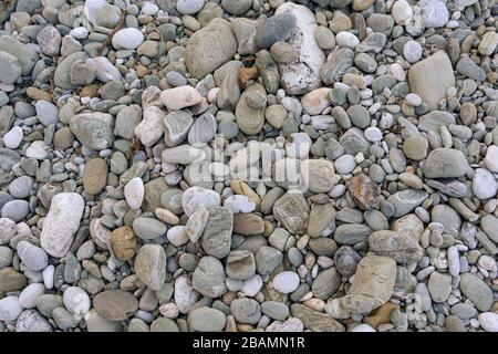 White and gray pebbles for background use Stock Photo
