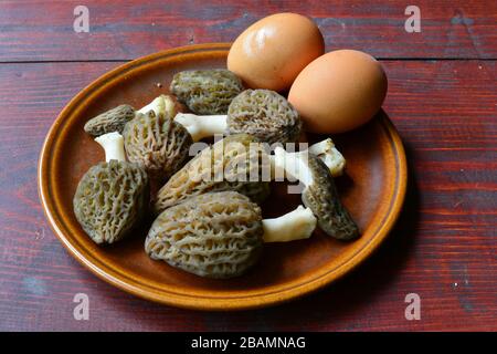 Forester's breakfast ingredients, eight healthy, young Black morels and eggs in brown rustic ceramic plate on mahogany wooden table Stock Photo
