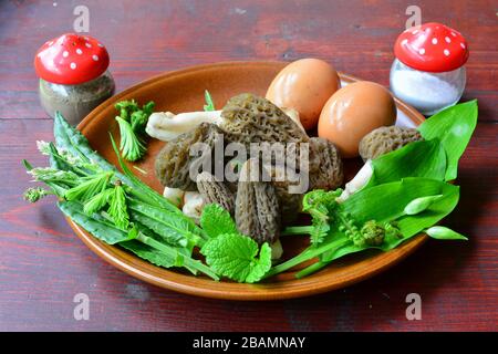Enhanced  forester's vitamin breakfast, spring mushrooms and plants, Black morels, eggs, salt and pepper, wild onion leaves, young fern, Lemon balm an Stock Photo