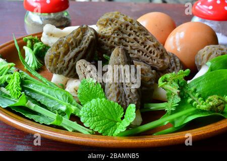 Enhanced  forester's vitamin breakfast, spring mushrooms and plants, Black morels, eggs, salt and pepper, wild onion leaves, young fern, Lemon balm an Stock Photo