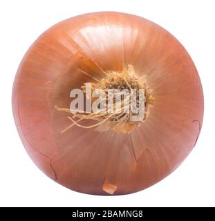 An Isolated Fresh Unpeeled Organic Onion On A White Background Stock Photo