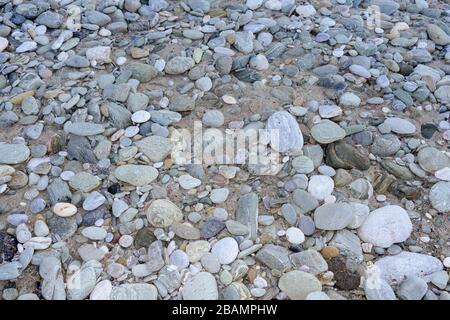 White and gray pebbles for background use Stock Photo