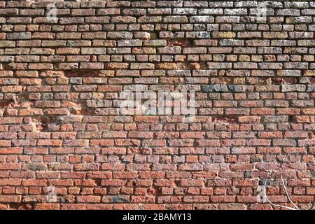 Historic weather worn Brick wall  23/07/20175  Harvington, England, United Kingdom.  A Historic weather worn red brick wall structures are stable due Stock Photo