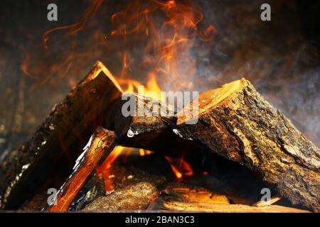 Close up view on a burning woods Stock Photo