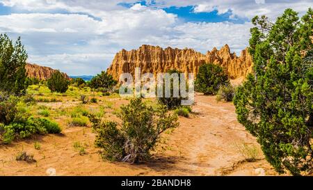 Earth tones and shrubs along the Juniper Draw Trail at Cathedral Gorge State Park, Nevada Stock Photo