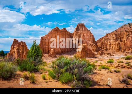 Gorgeous dessert scene along the Juniper Draw Trail, Cathedral Gorge State Park, Nevada - plants and land formations Stock Photo
